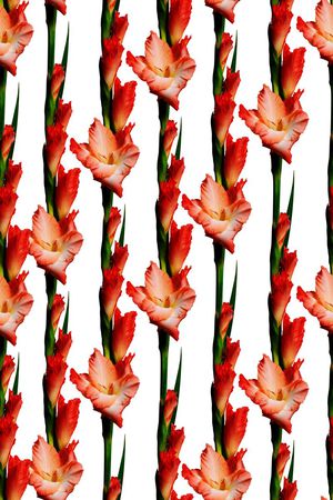 高端竖排印花华亿平台图片