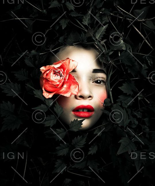 少女印花华亿平台图片