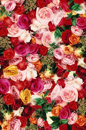 满铺印花华亿平台图片