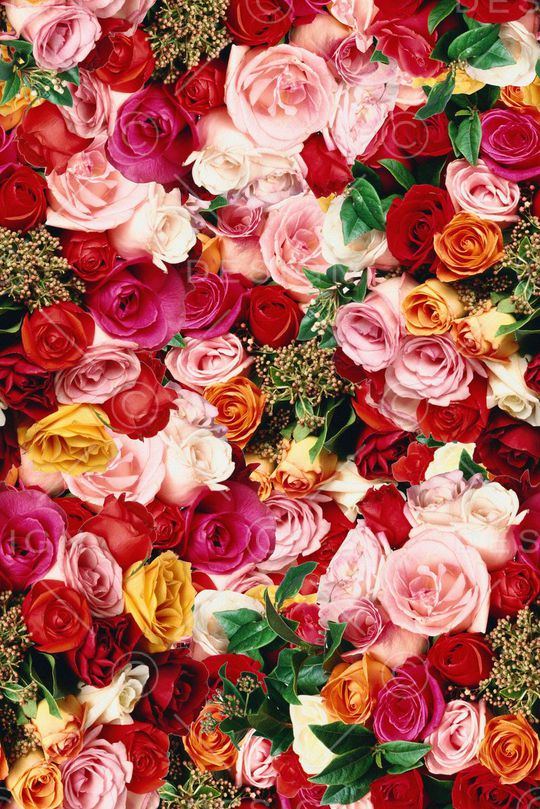 满铺印花华亿平台图片