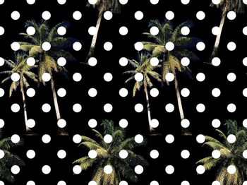 471447-波点椰树 圆点 女装 衬衣 连衣裙