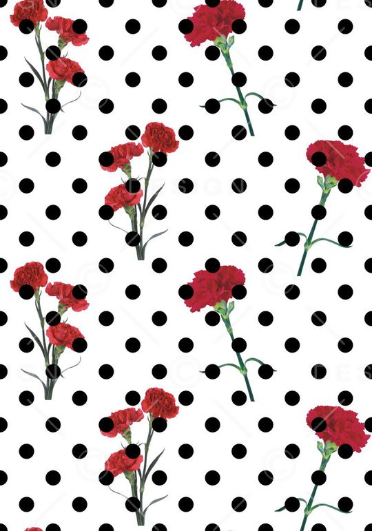 康乃馨 香石竹 狮头石竹 麝香石竹 大花石竹 荷兰石竹 红色康乃馨 玫红色康乃馨 花卉植物 圆点 女装 衬衣 连衣裙 雪纺 印花 几何 碎花 小碎花 大花 方块 衬衫印花 简单 时尚 大牌 潮流印花 女装印花 传统印花 T恤印花印花华亿平台图片