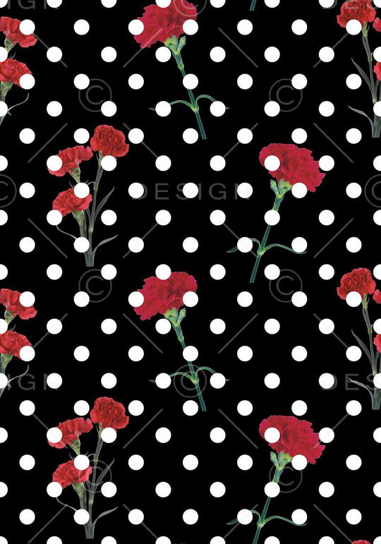 康乃馨 香石竹 狮头石竹 麝香石竹 大花石竹 荷兰石竹 红色康乃馨 玫红色康乃馨 花卉植物 圆点 女装 衬衣 连衣裙 雪纺 印花 几何 碎花 小碎花 大花 方块 衬衫印花 简单 时尚 大牌 潮流印花 女装印花 传统印花 T恤印花印花华亿平台图片