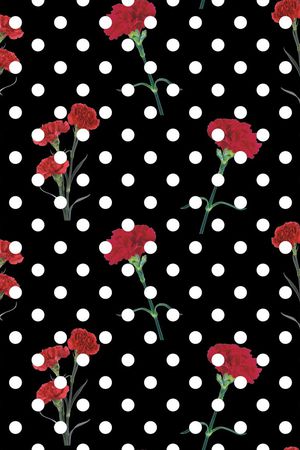 康乃馨 香石竹 狮头石竹 麝香石竹 大花石竹 荷兰石竹 红色康乃馨 玫红色康乃馨 花卉植物 圆点 女装 衬衣 连衣裙 雪纺 印花 几何 碎花 小碎花 大花 方块 衬衫印花 简单 时尚 大牌 潮流印花 女装印花 传统印花 T恤印花印花华亿平台图片