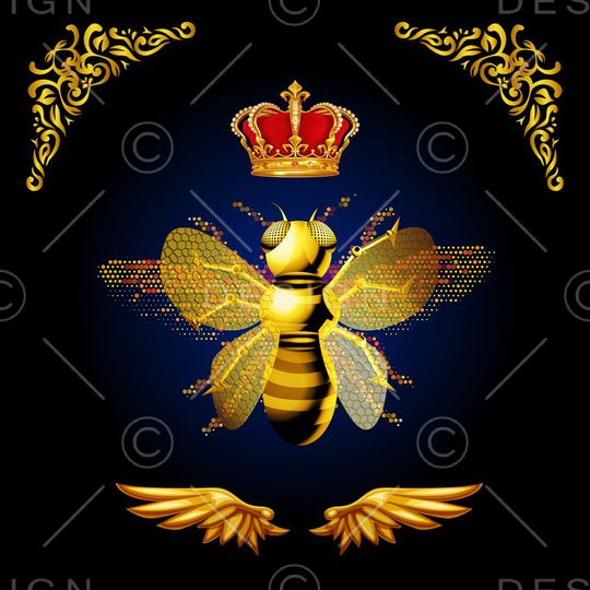 DG走秀印花华亿平台图片