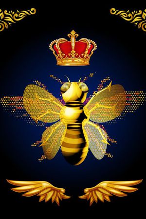 DG走秀印花华亿平台图片