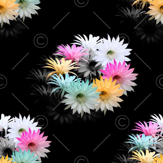 花簇女士印花华亿平台图片