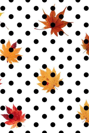 波点枫叶 枫叶 圆点 玫瑰花 女装 衬衣 连衣裙 雪纺 印花 几何 碎花 小碎花 大花 方块 衬衫印花 简单 时尚 大牌 潮流印花 女装印花 传统印花 T恤印花印花华亿平台图片