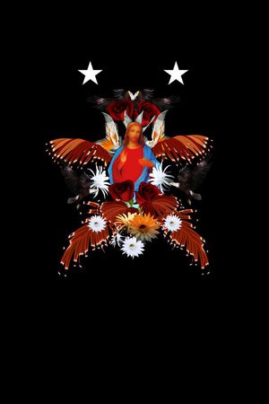 纪梵希GIVENCHY印花华亿平台图片