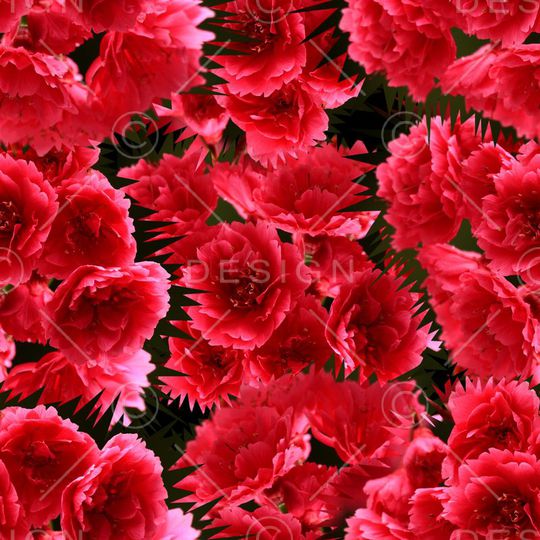 复古印花华亿平台图片