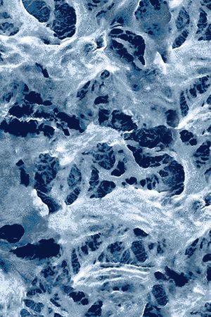 浪花印花华亿平台图片