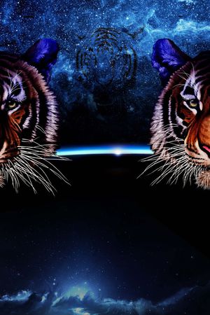 定位壁纸印花华亿平台图片