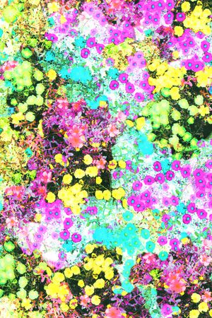 田园风印花华亿平台图片