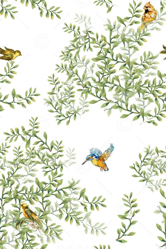 大牌印花华亿平台图片