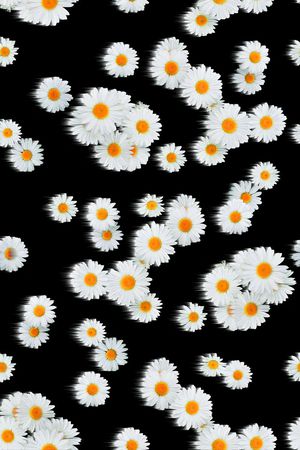 小清新印花华亿平台图片