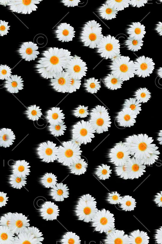 小清新印花华亿平台图片