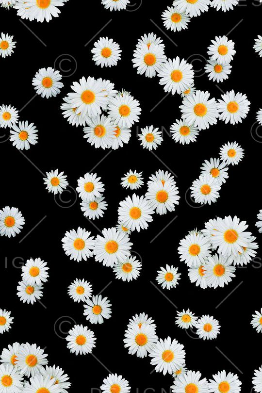 小清新印花华亿平台图片