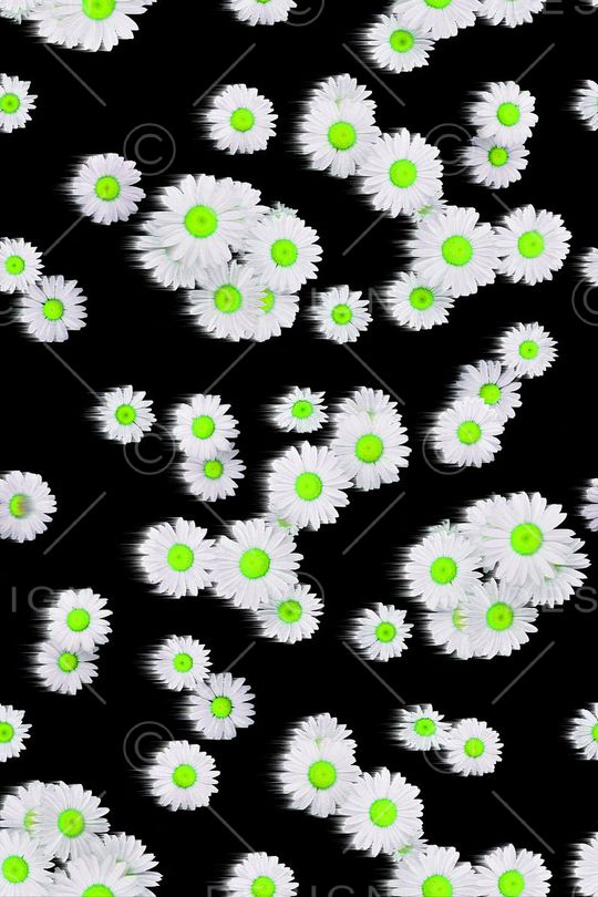 小清新印花华亿平台图片