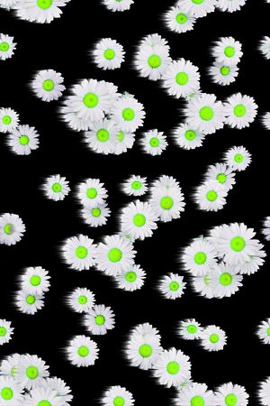 小清新印花华亿平台图片