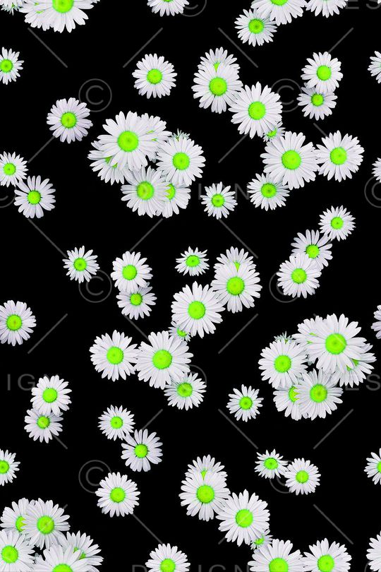 小清新印花华亿平台图片