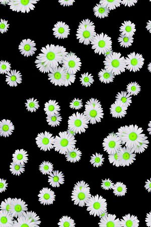 小清新印花华亿平台图片