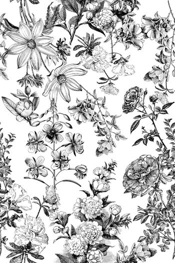 472135-素雅高贵 大牌时尚花卉 女装 