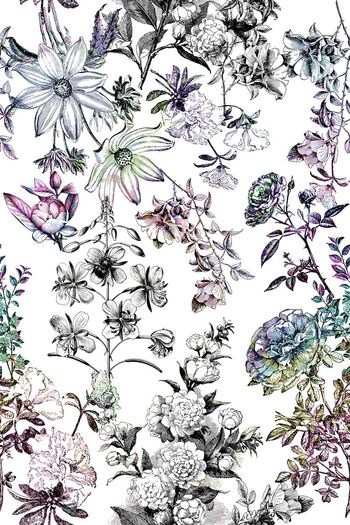 472136-素雅高贵 大牌时尚花卉 女装 