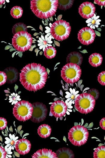 472213-多彩雏菊绽放小清新系列3