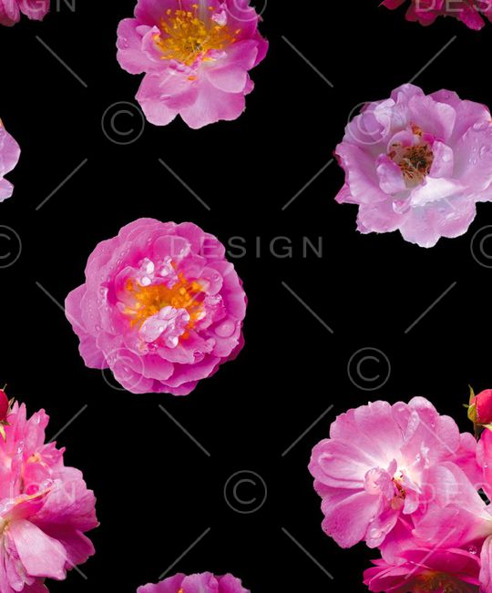 照片景观印花华亿平台图片