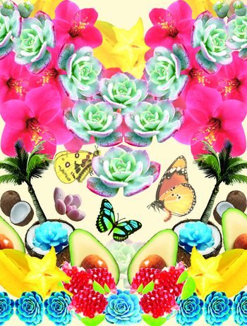 472472-水果 多肉 植物盛宴