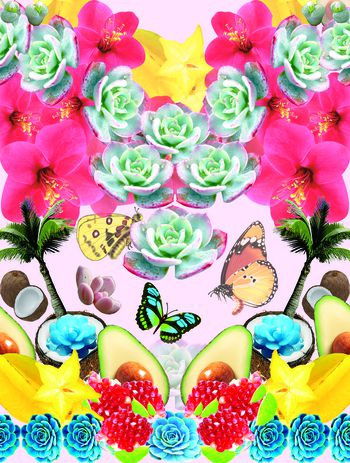 472473-水果 多肉 植物盛宴