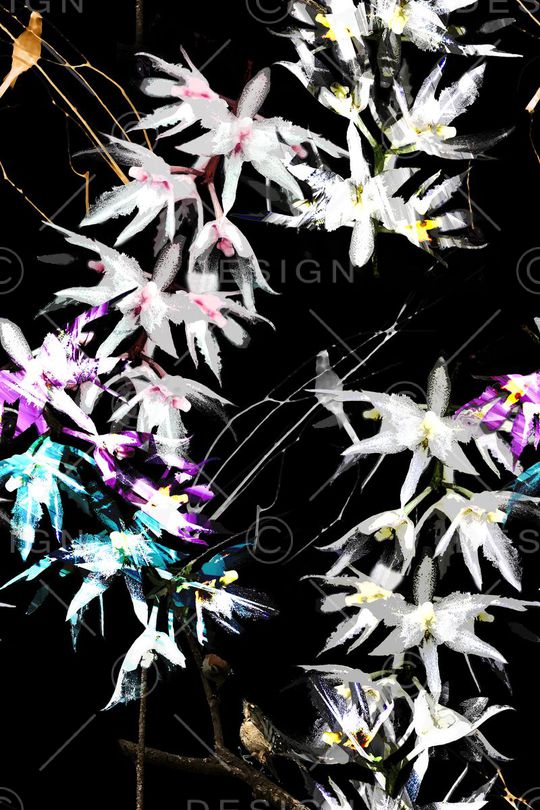 数码印花华亿平台图片