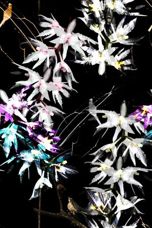 数码印花华亿平台图片