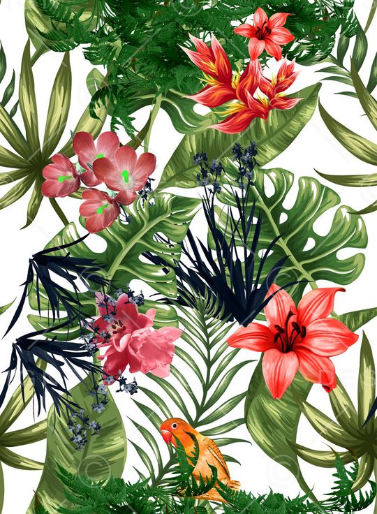 热带印花华亿平台图片