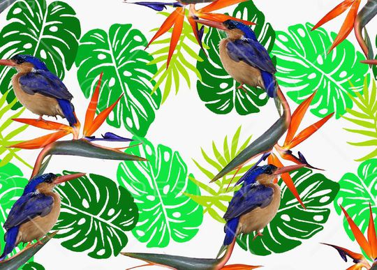 天堂鸟花印花华亿平台图片