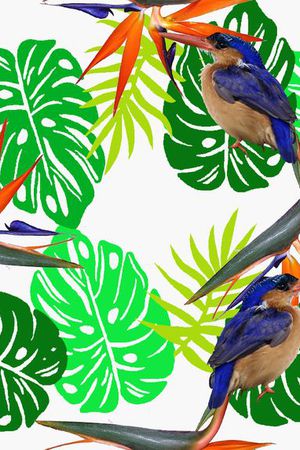 天堂鸟花印花华亿平台图片