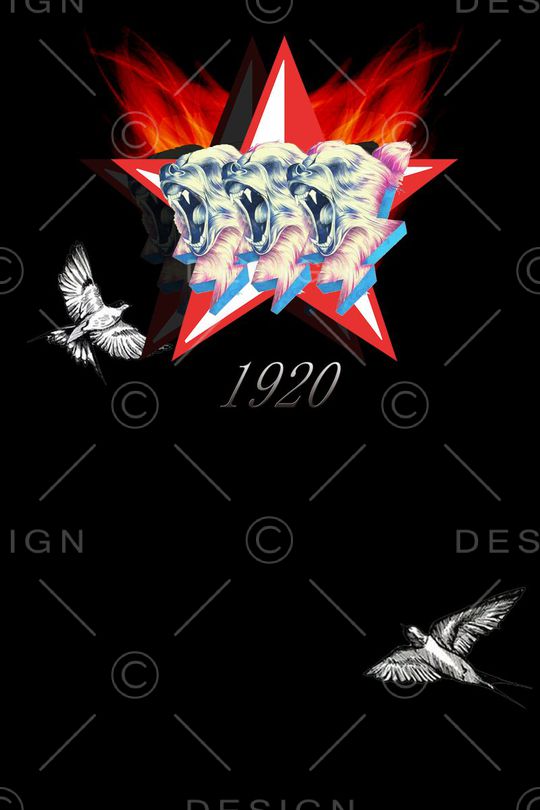 创意服装面料印花华亿平台图片