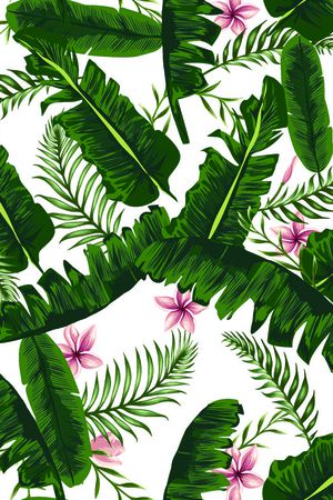 热带印花华亿平台图片