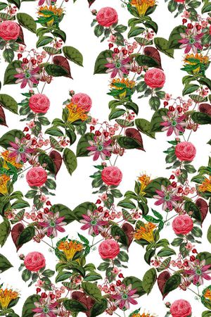 热带印花华亿平台图片