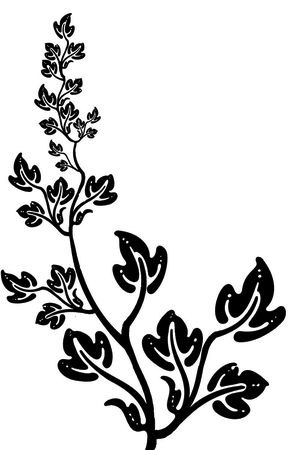 田园印花华亿平台图片