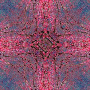 时尚印花华亿平台图片