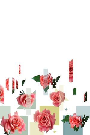 玫瑰印花华亿平台图片