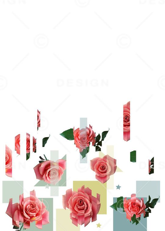 玫瑰印花华亿平台图片