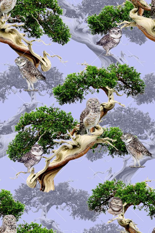 风景印花华亿平台图片