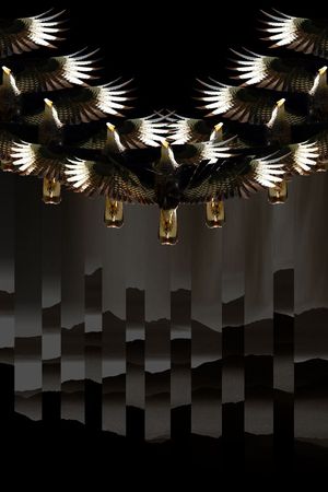 大牌老鹰印花华亿平台图片