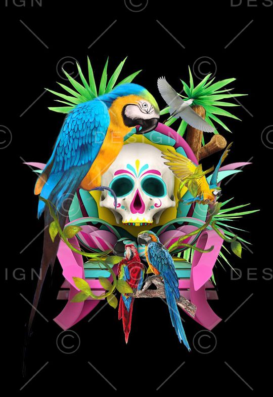 动物印花华亿平台图片