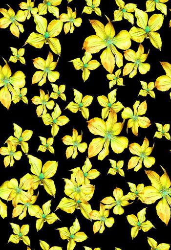 473290-欧美流行时尚手绘花卉花朵拼贴印花