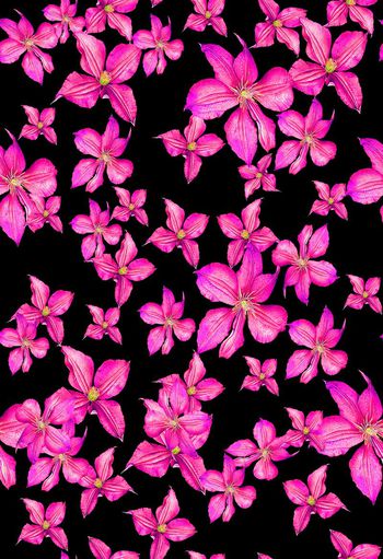 473291-欧美流行时尚手绘花卉花朵拼贴印花