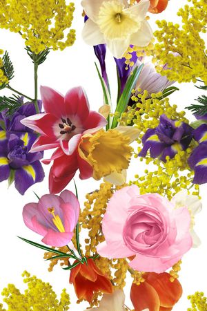 大朵印花华亿平台图片