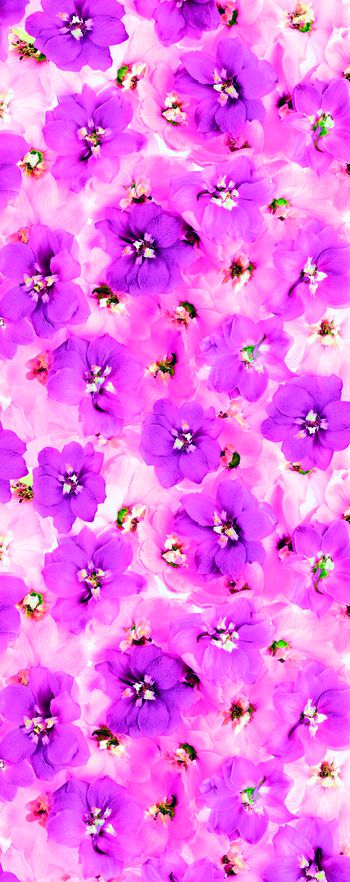 手绘印花华亿平台图片